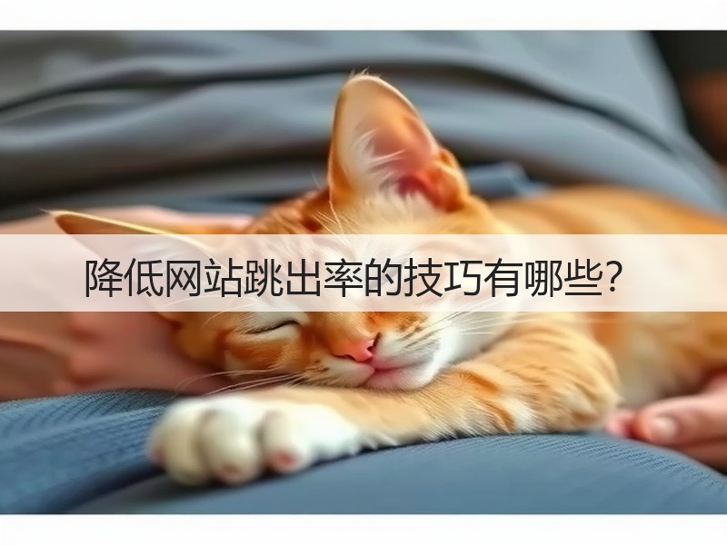 降低网站跳出率的技巧有哪些？(图3)