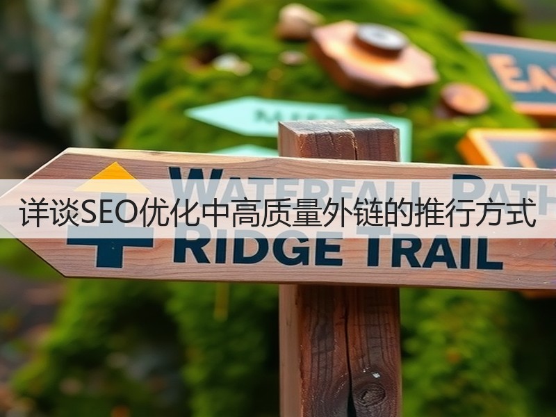 详谈SEO优化中高质量外链的推行方式(图3)
