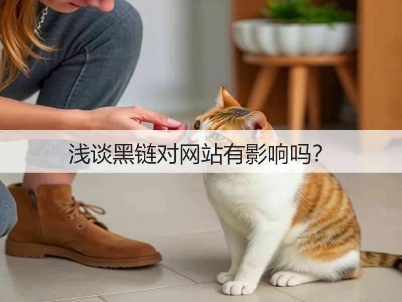浅谈黑链对网站有影响吗？(图3)
