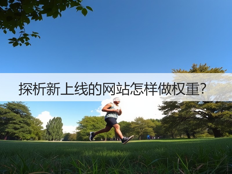 探析新上线的网站怎样做权重？