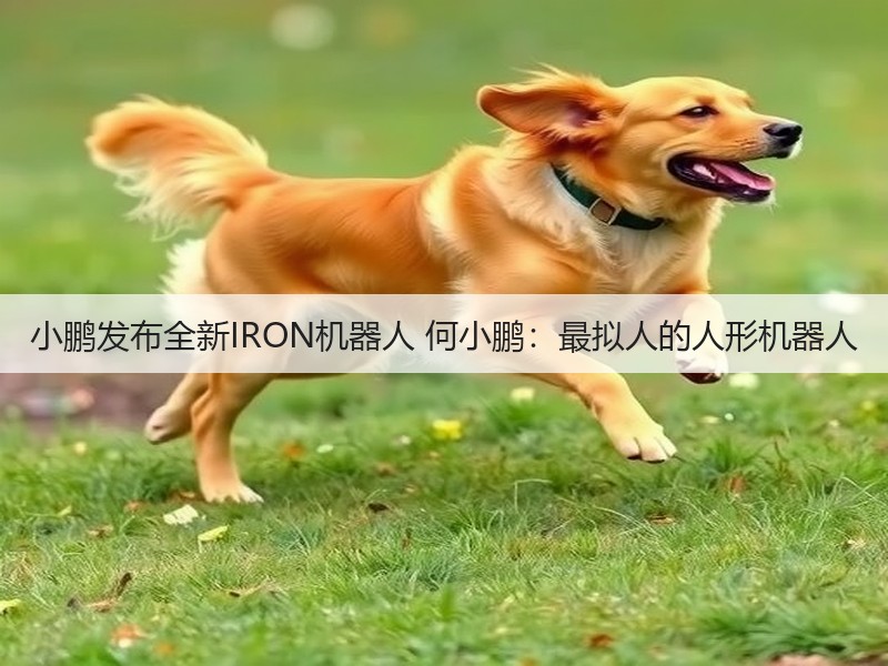 小鹏发布全新IRON机器人 何小鹏:最拟人的人形机器人(图3) 小鹏发布全新IRON机器人 何小鹏:最拟人的人形机器人(图3)