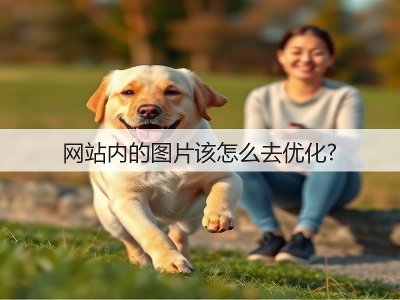 网站内的图片该怎么去优化?(图3)