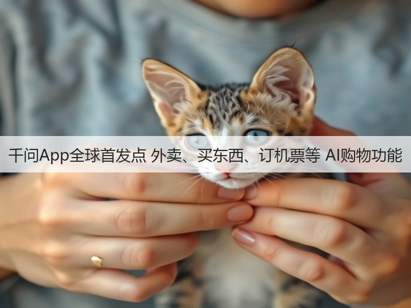 千问App全球首发点 外卖、买东西、订机票等 AI购物功能(图3)