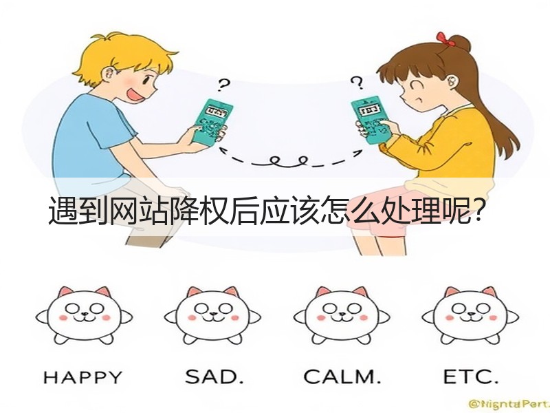 遇到网站降权后应该怎么处理呢？(图2)