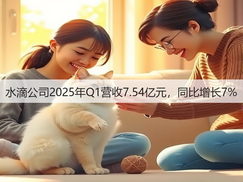 水滴公司2025年Q1营收7.54亿元,同比增长7%(图2) 水滴公司2025年Q1营收7.54亿元,同比增长7%(图2)