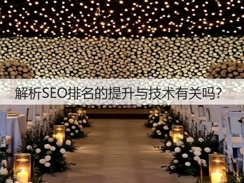 解析SEO排名的提升与技术有关吗?(图2) 解析SEO排名的提升与技术有关吗?(图2)