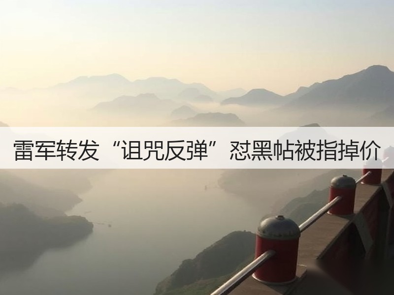 雷军转发“诅咒反弹”怼黑帖被指掉价(图3)