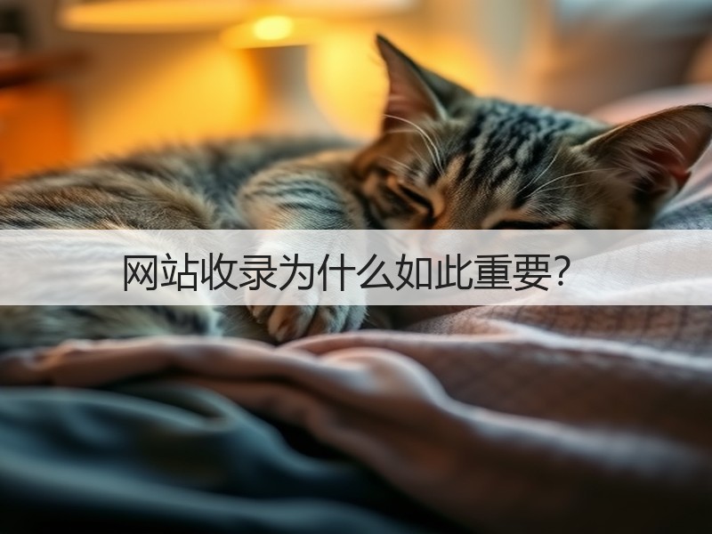 网站收录为什么如此重要?(图2) 网站收录为什么如此重要?(图2)