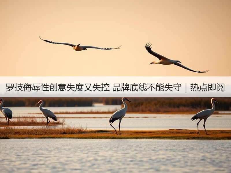 罗技侮辱性创意失度又失控 品牌底线不能失守｜热点即阅(图3)