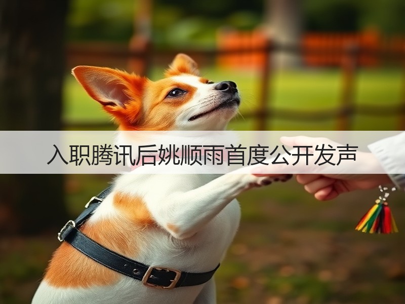 入职腾讯后姚顺雨首度公开发声(图3)