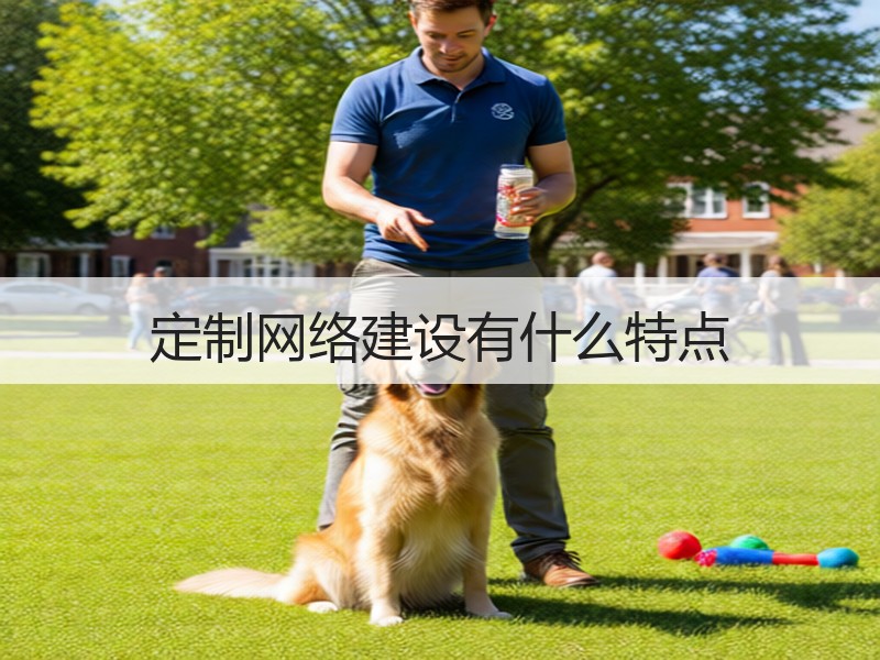 定制网络建设有什么特点