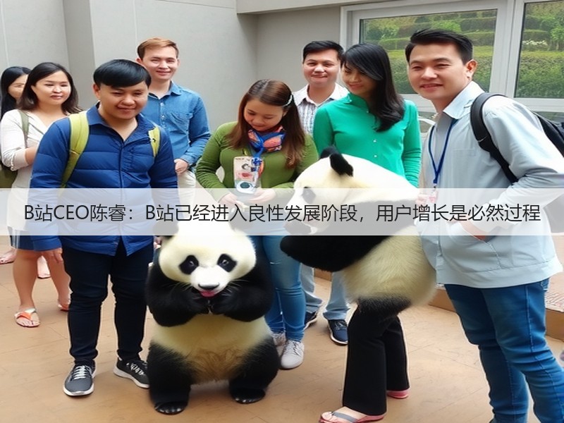 B站CEO陈睿：B站已经进入良性发展阶段，用户增长是必然过程(图3)