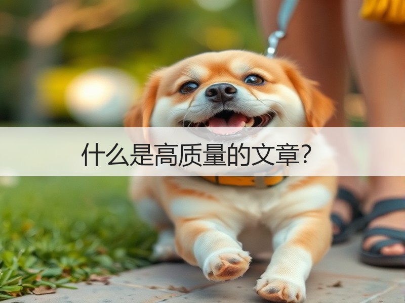 什么是高质量的文章？