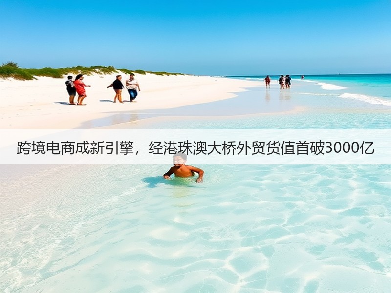 跨境电商成新引擎,经港珠澳大桥外贸货值首破3000亿(图2) 跨境电商成新引擎,经港珠澳大桥外贸货值首破3000亿(图2)