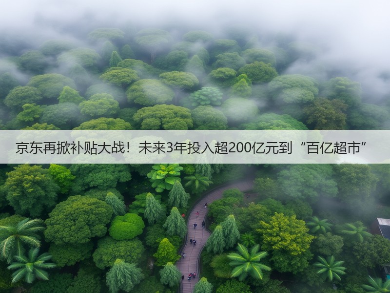 京东再掀补贴大战！未来3年投入超200亿元到“百亿超市”(图2)