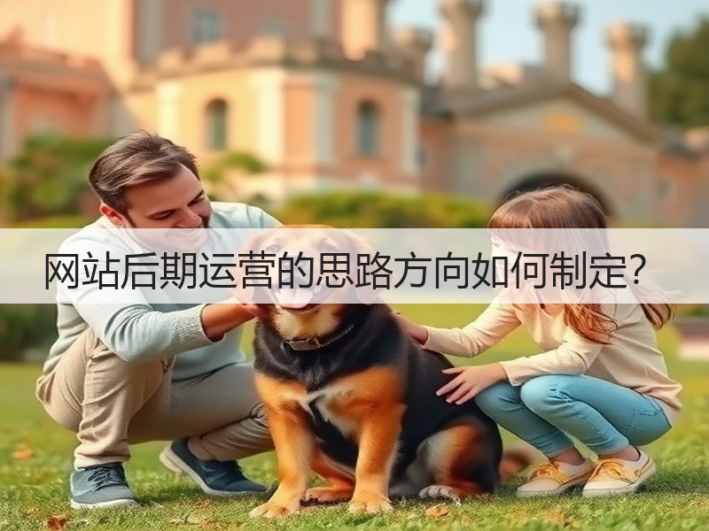 网站后期运营的思路方向如何制定?(图2) 网站后期运营的思路方向如何制定?(图2)