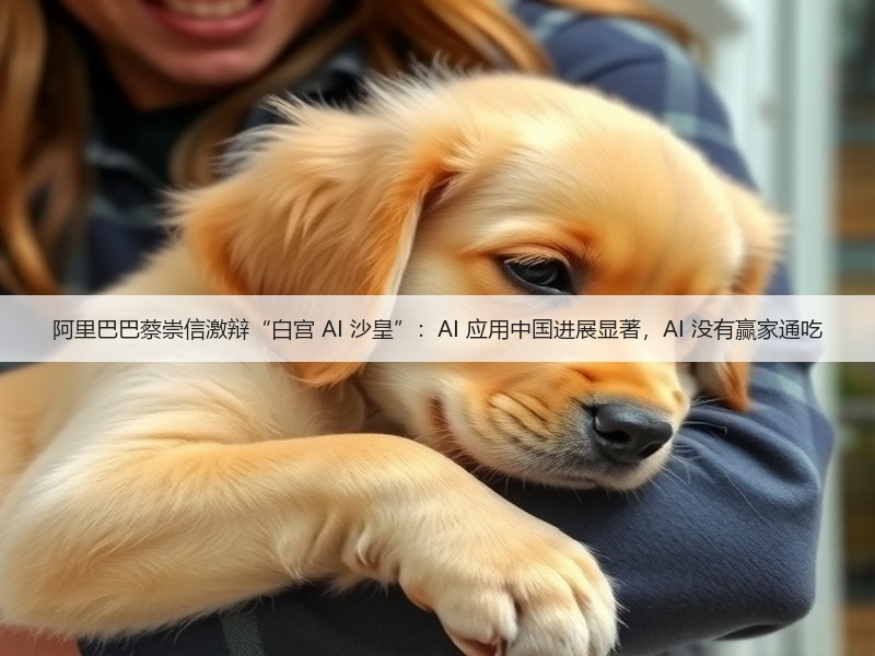 阿里巴巴蔡崇信激辩“白宫 AI 沙皇”:AI 应用中国进展显著,AI 没有赢家通吃(图3) 阿里巴巴蔡崇信激辩“白宫 AI 沙皇”:AI 应用中国进展显著,AI 没有赢家通吃(图3)