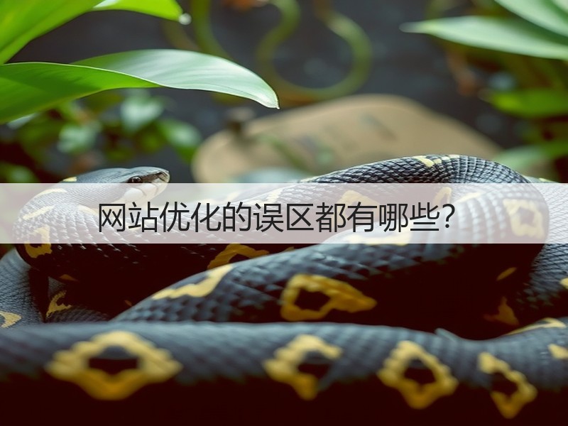 网站优化的误区都有哪些？(图2)