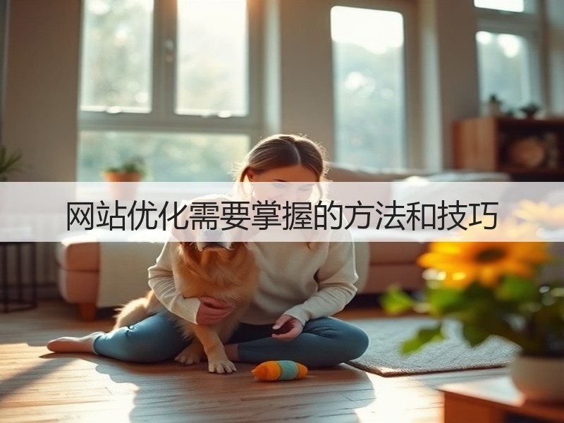 网站优化需要掌握的方法和技巧(图3)