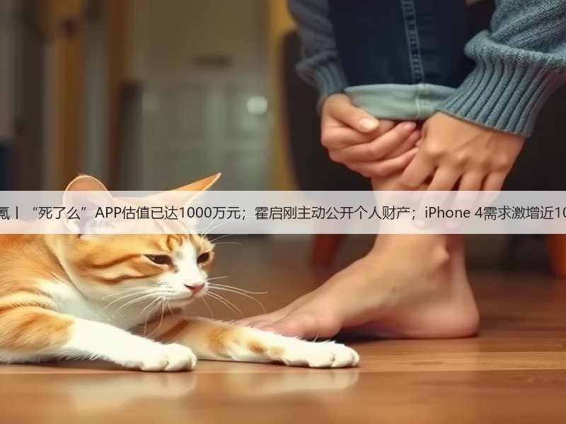 8点1氪丨“死了么”APP估值已达1000万元;霍启刚主动公开个人财产;iPhone 4需求激增近1000%(图3) 8点1氪丨“死了么”APP估值已达1000万元;霍启刚主动公开个人财产;iPhone 4需求激增近1000%(图3)