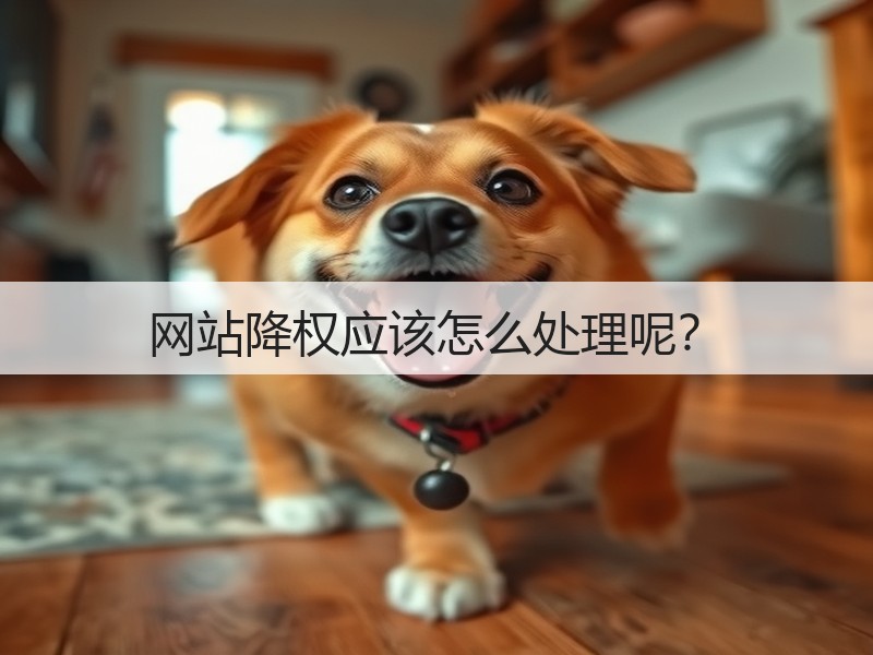 网站降权应该怎么处理呢？(图2)