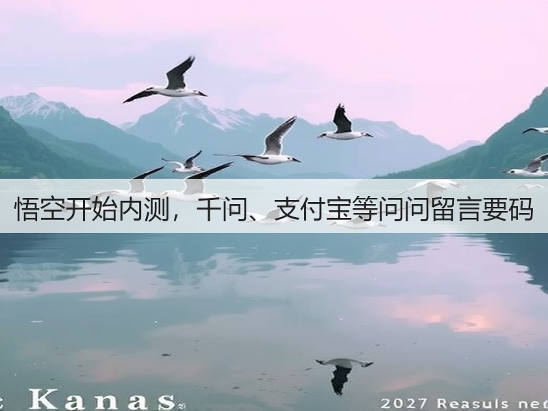 悟空开始内测，千问、支付宝等问问留言要码(图2)