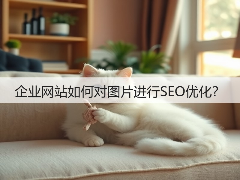 企业网站如何对图片进行SEO优化？(图3)