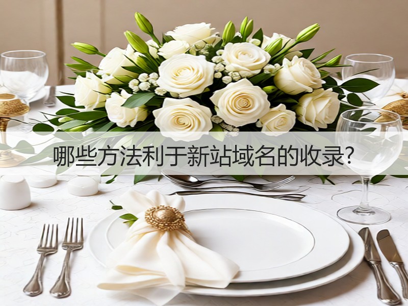 哪些方法利于新站域名的收录?(图2)