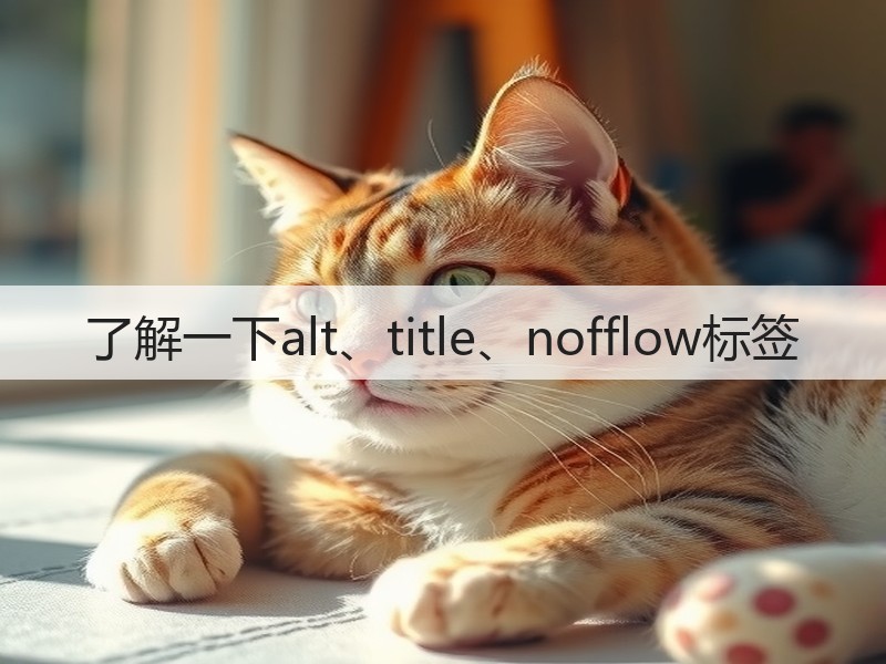 了解一下alt、title、nofflow标签(图1) 了解一下alt、title、nofflow标签(图1)
