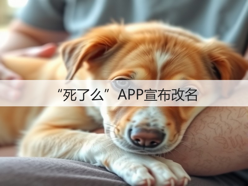 “死了么”APP宣布改名(图3)