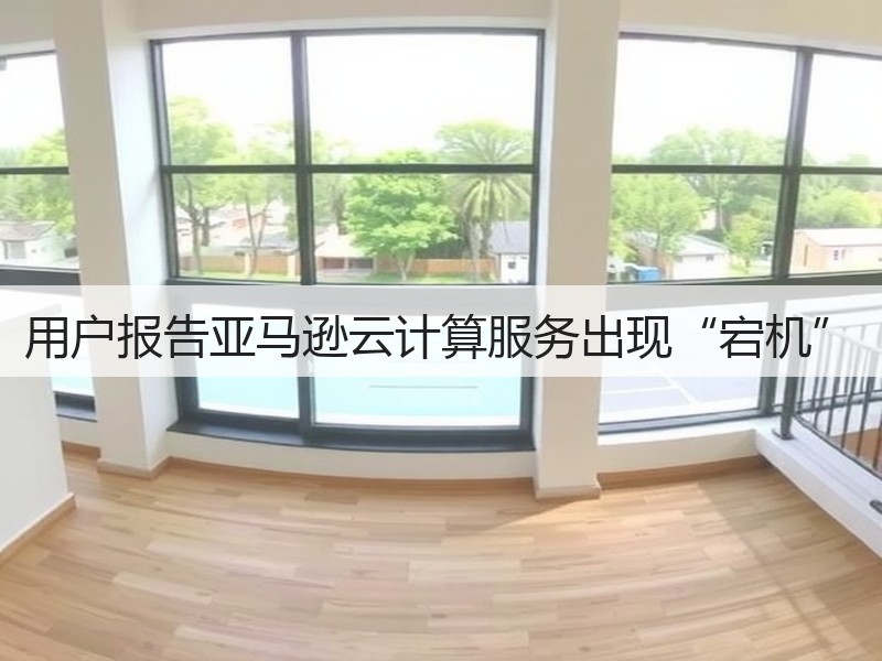 用户报告亚马逊云计算服务出现“宕机”(图2)