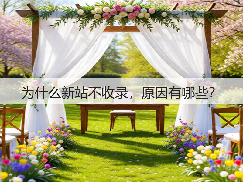为什么新站不收录,原因有哪些?(图2) 为什么新站不收录,原因有哪些?(图2)