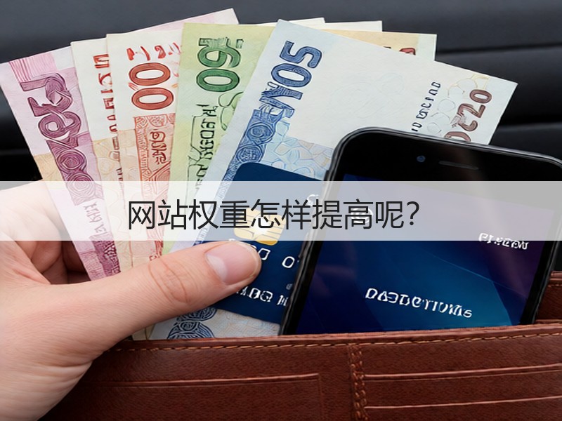 网站权重怎样提高呢？(图2)
