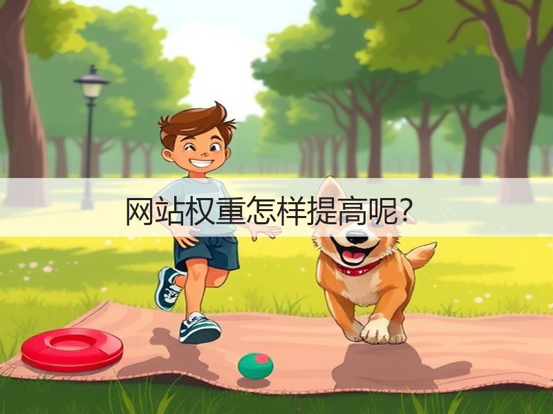 网站权重怎样提高呢？(图2)