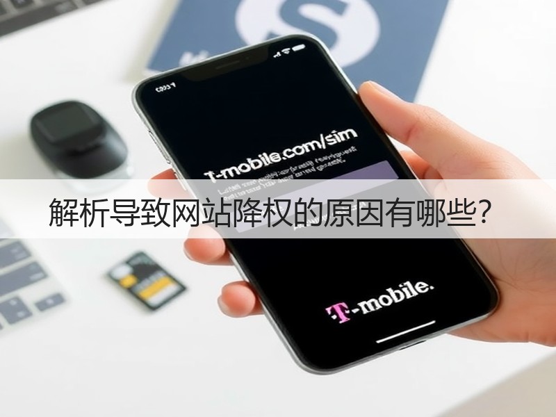 解析导致网站降权的原因有哪些？(图2)