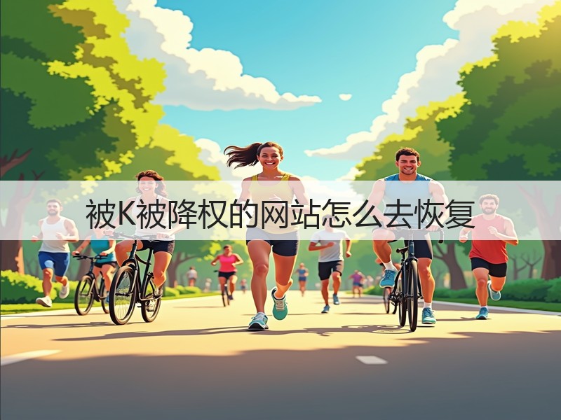被K被降权的网站怎么去恢复(图2) 被K被降权的网站怎么去恢复(图2)