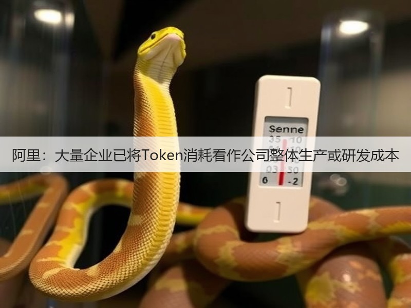 阿里:大量企业已将Token消耗看作公司整体生产或研发成本(图2) 阿里:大量企业已将Token消耗看作公司整体生产或研发成本(图2)