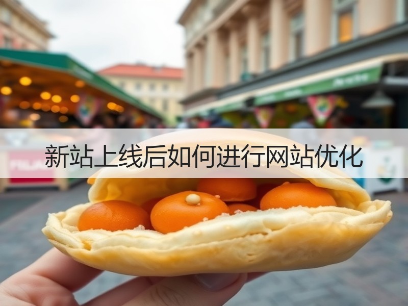 新站上线后如何进行网站优化
