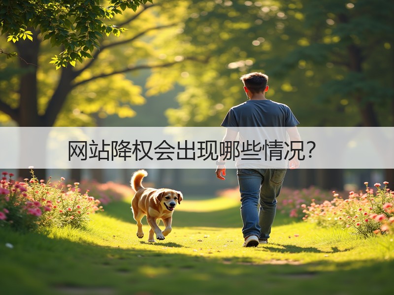 网站降权会出现哪些情况？(图2)
