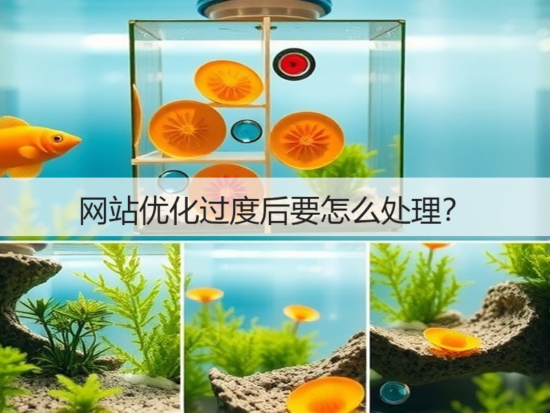 网站优化过度后要怎么处理？(图1)