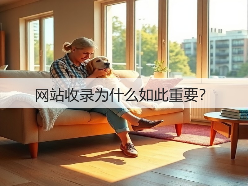 网站收录为什么如此重要？
