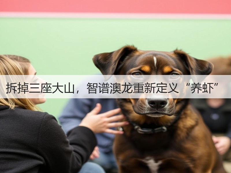 拆掉三座大山，智谱澳龙重新定义“养虾”(图3)