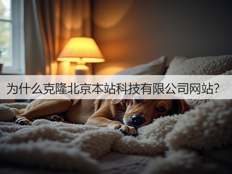 为什么克隆北京本站科技有限公司网站?(图3) 为什么克隆北京本站科技有限公司网站?(图3)