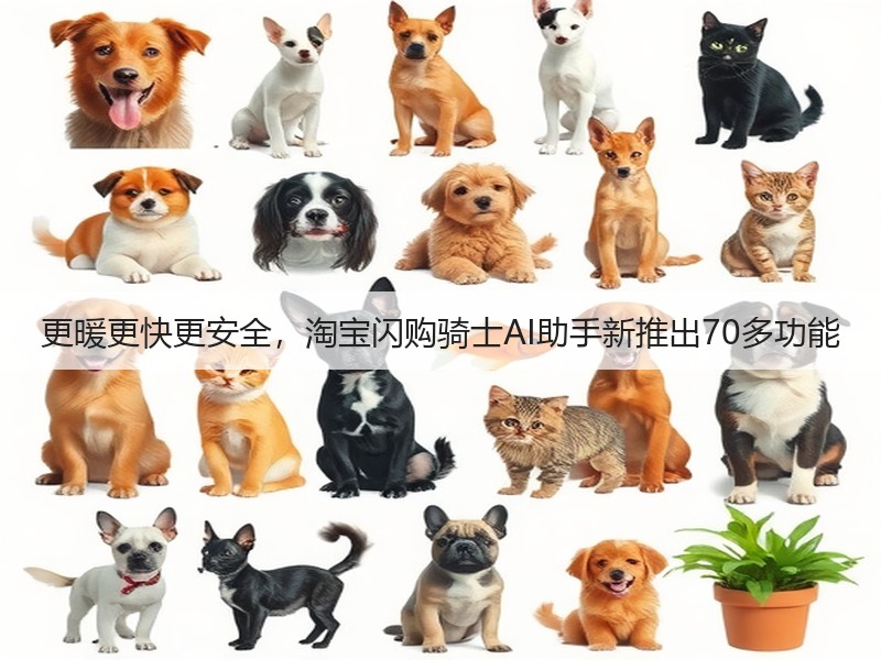 更暖更快更安全，淘宝闪购骑士AI助手新推出70多功能(图2)