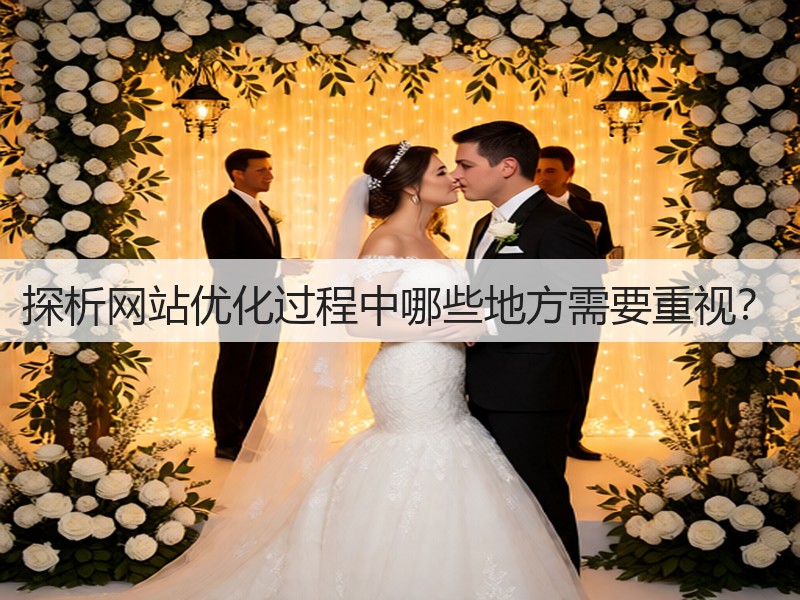 探析网站优化过程中哪些地方需要重视?(图1) 探析网站优化过程中哪些地方需要重视?(图1)