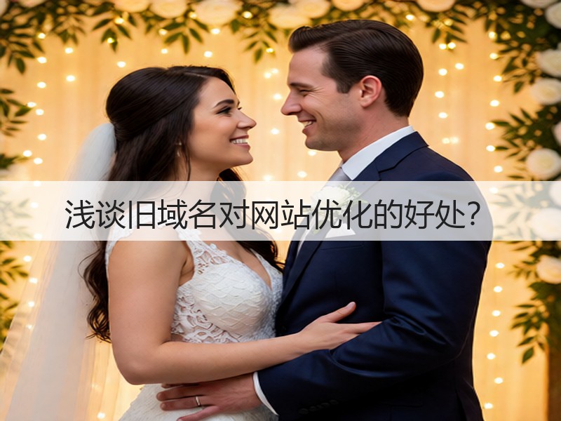 浅谈旧域名对网站优化的好处？(图3)