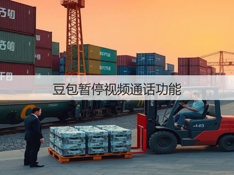 豆包暂停视频通话功能(图2)