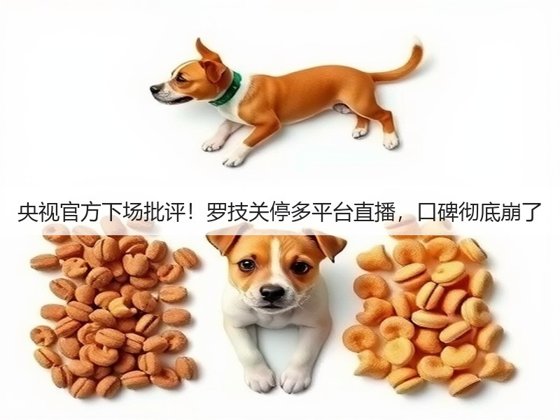 央视官方下场批评!罗技关停多平台直播,口碑彻底崩了(图2) 央视官方下场批评!罗技关停多平台直播,口碑彻底崩了(图2)