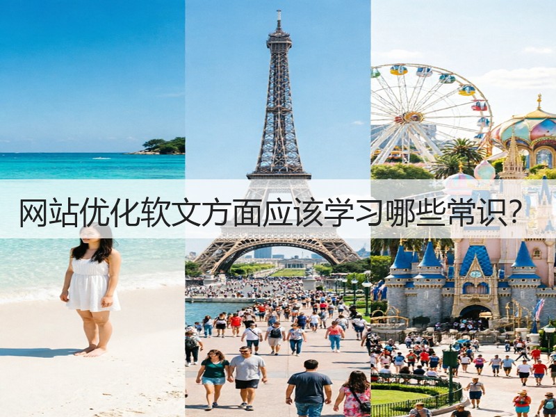 网站优化软文方面应该学习哪些常识？(图1)