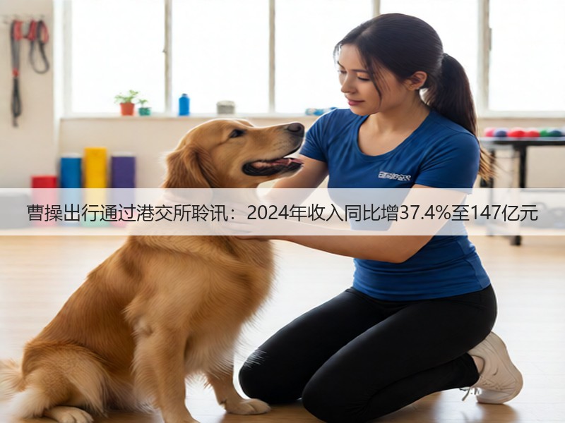 曹操出行通过港交所聆讯:2024年收入同比增37.4%至147亿元(图2) 曹操出行通过港交所聆讯:2024年收入同比增37.4%至147亿元(图2)